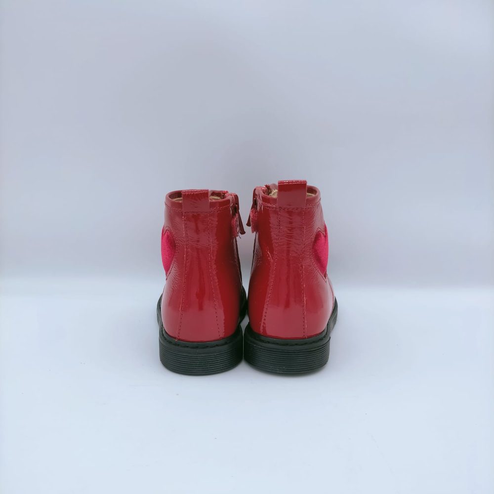 ANFIBIO ROSSANO ROSSO - immagine 2