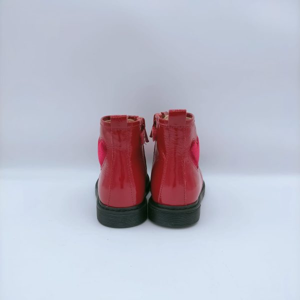 ANFIBIO ROSSANO ROSSO - immagine 2
