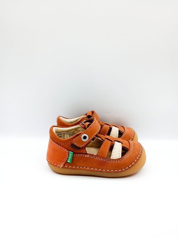 SEMICHIUSO KICKERS
