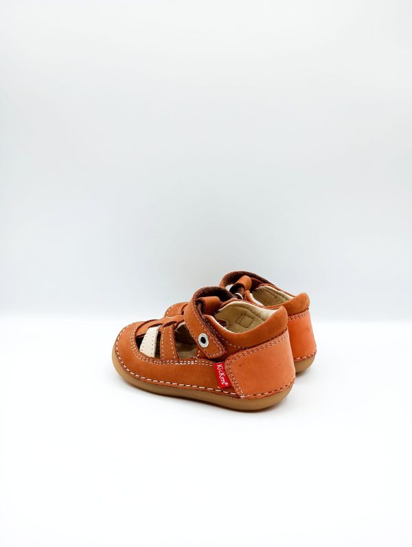 SEMICHIUSO KICKERS - immagine 5